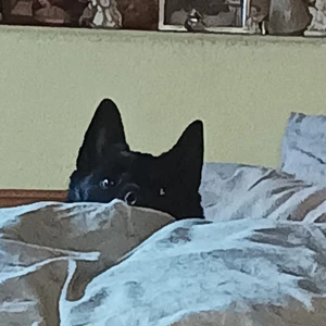 img-20240915-wa0000_1600x900ms