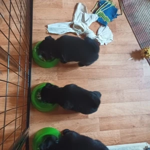 img-20240915-wa0001_1600x900ms