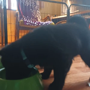 img-20240915-wa0003_1600x900ms