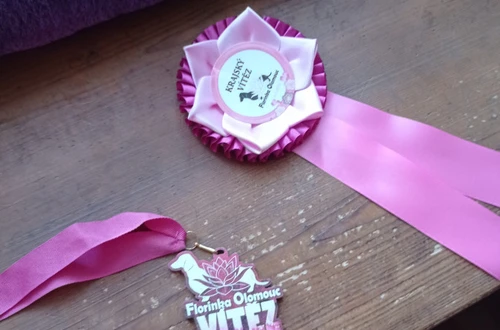 img_20230506_142736_1600x900ms