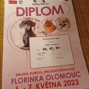 img_20230506_212733_1600x900ms