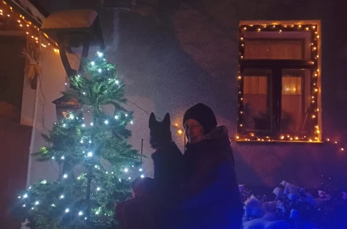 img_20241231_105011_1600x900ms