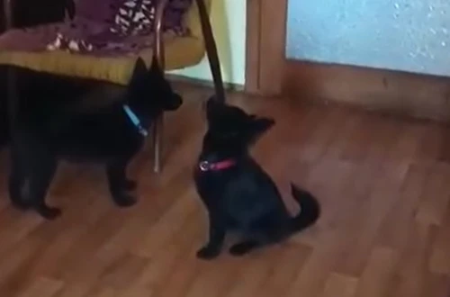 Když jsem na vycházce