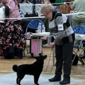 messenger_creation_0401cc26-5eca-4f3a-b45c-75b98b3827e9