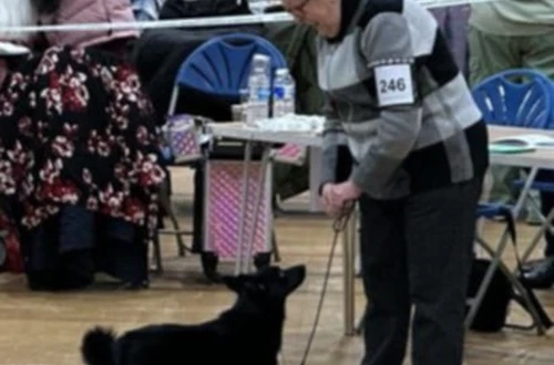 messenger_creation_0401cc26-5eca-4f3a-b45c-75b98b3827e9