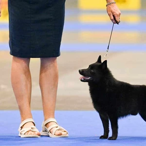 messenger_creation_22cfd1e6-b76c-4af2-bc4e-afc05d136348_1600x900ms