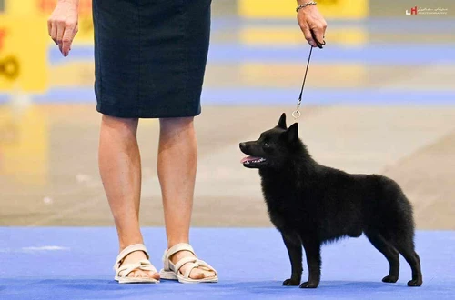 messenger_creation_22cfd1e6-b76c-4af2-bc4e-afc05d136348_1600x900ms