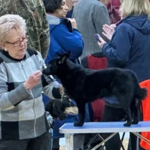 messenger_creation_868c02ca-bdcf-446a-bc8d-7d9203bc289a