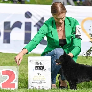 messenger_creation_a381aad6-ee56-4fe5-8bdb-a02d79fde723_0_1600x900ms