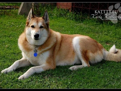 sarinka-1_1600x900ms