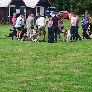 unnamed-10_1600x900ms