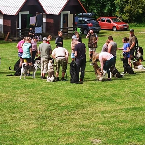 unnamed-11_1600x900ms (1)