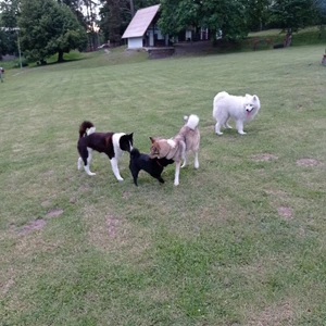 unnamed-14_1600x900ms