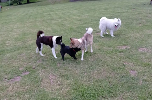 unnamed-14_1600x900ms