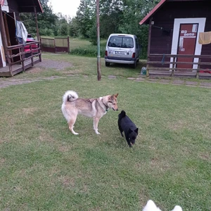 unnamed-15_1600x900ms