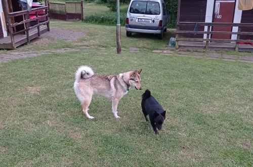 unnamed-15_1600x900ms